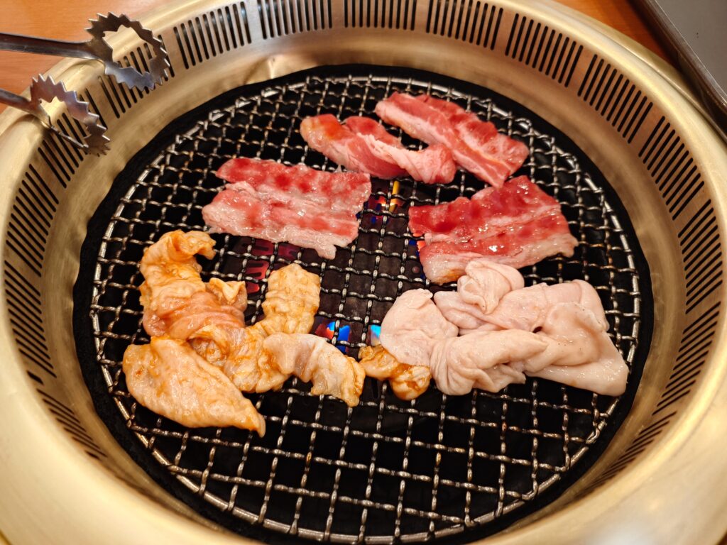 札幌市 東区 元町駅 運河亭 ガス網