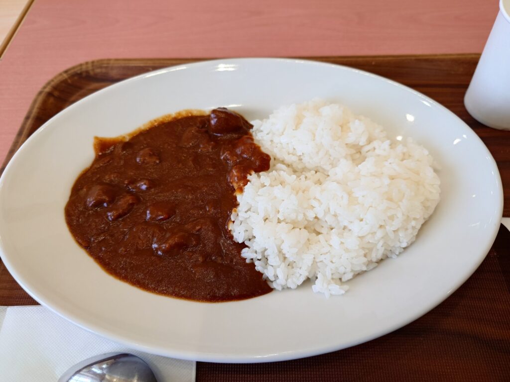 札幌市 東区 東区役所前 苗穂駅 ローストビーフ星 アリオ札幌 牛すじ煮込みカレーのアップ